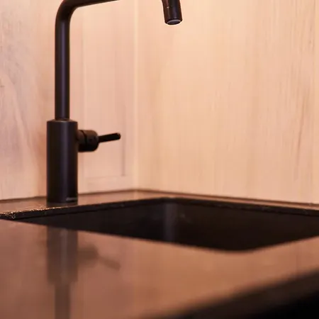 Hannah Mirror Tiny House * 登博斯