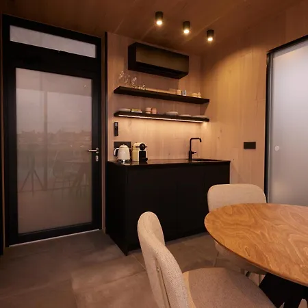 Hannah Mirror Tiny House 登博斯
