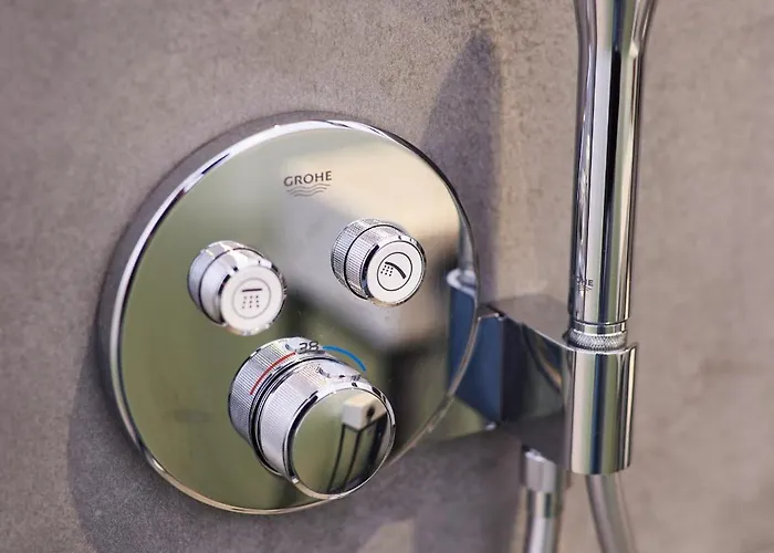 营地 Hannah Mirror Tiny House