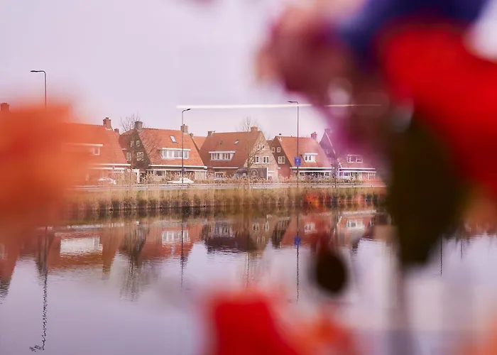 Hannah Mirror Tiny House 登博斯