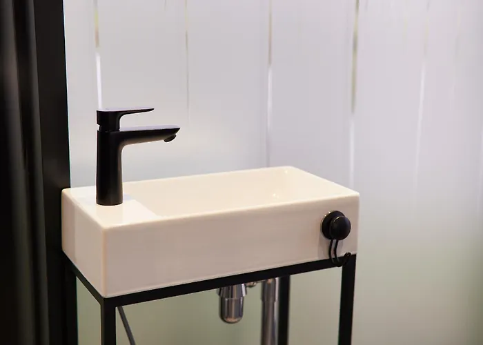 Hannah Mirror Tiny House * 登博斯