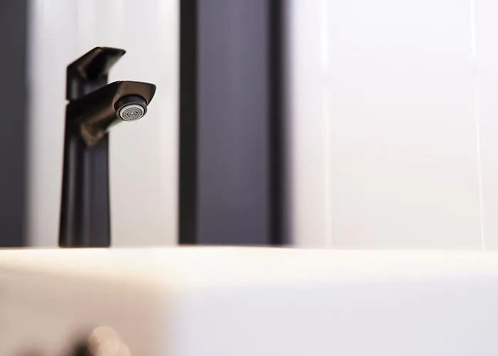 Hannah Mirror Tiny House