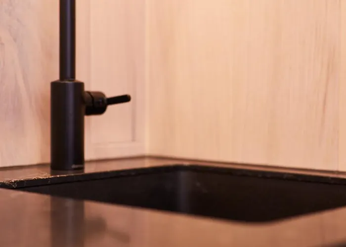 Hannah Mirror Tiny House * 登博斯